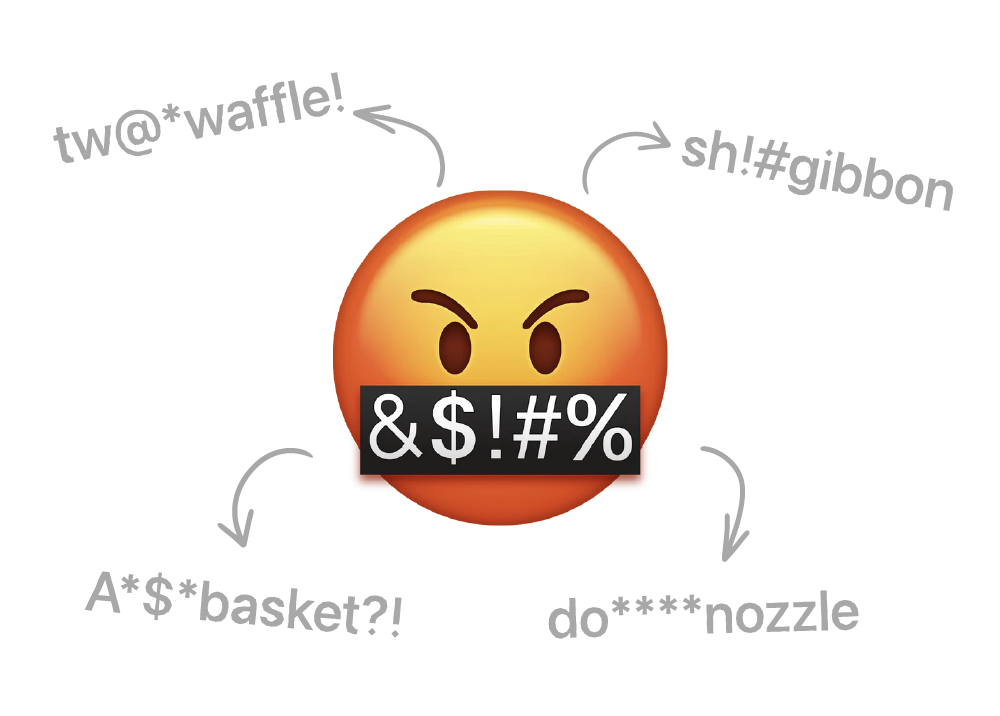 political-text-messaging-profanity
