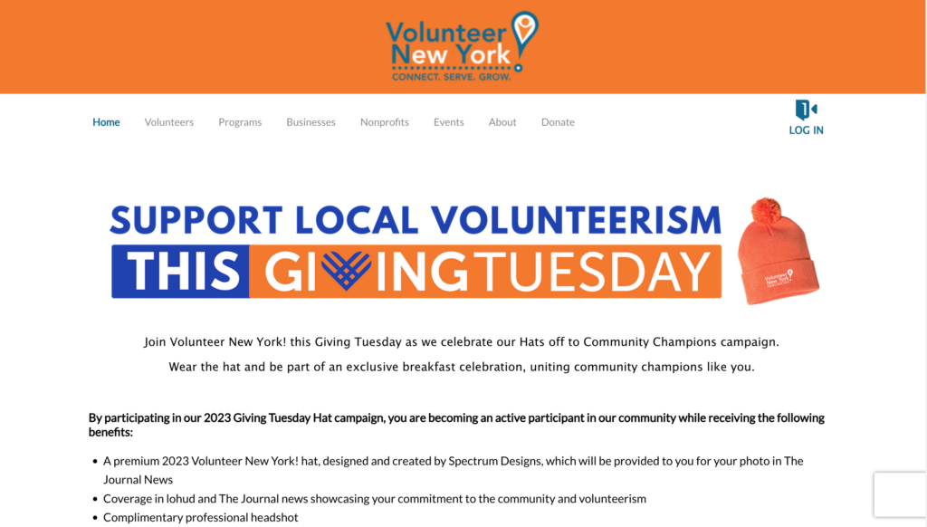 giving-tuesday-ideas-landing-page-example