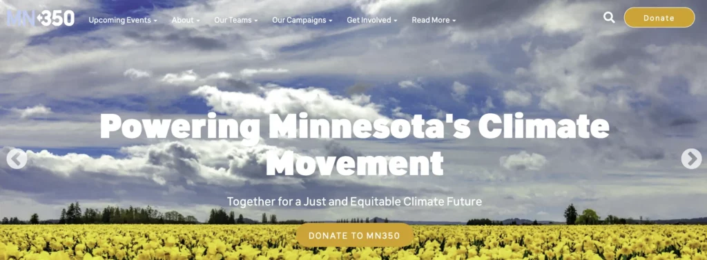 grassroots-activism-mn350