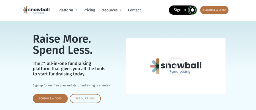 text-to-give-platforms-snowball