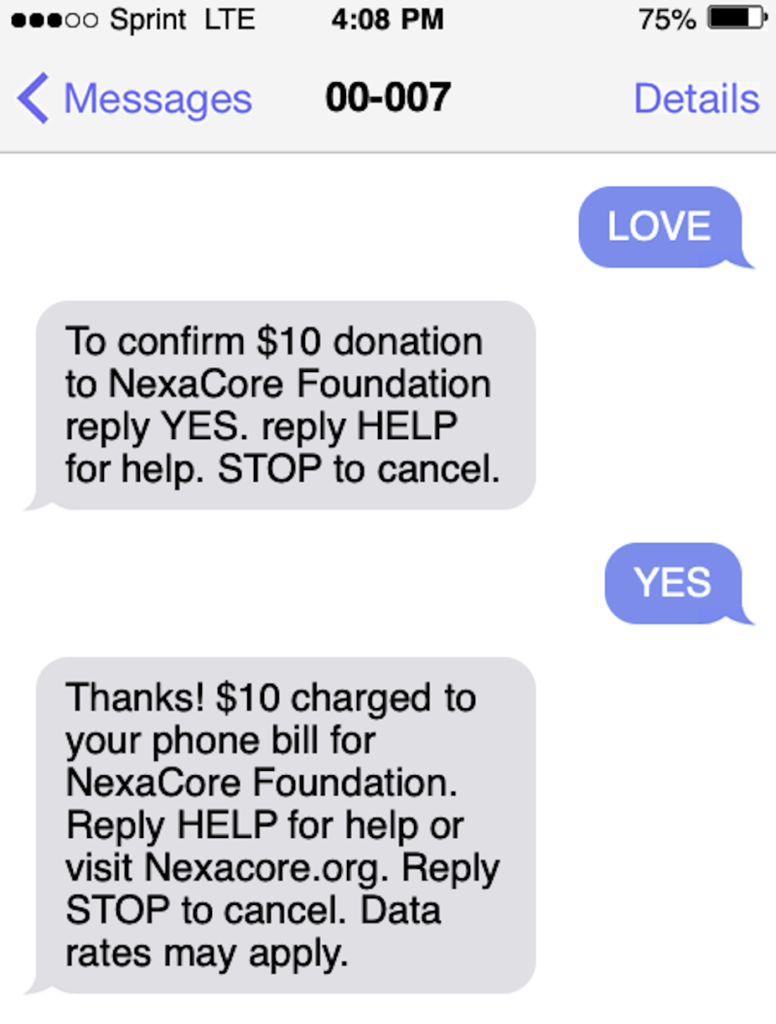 text-to-give-platforms-template