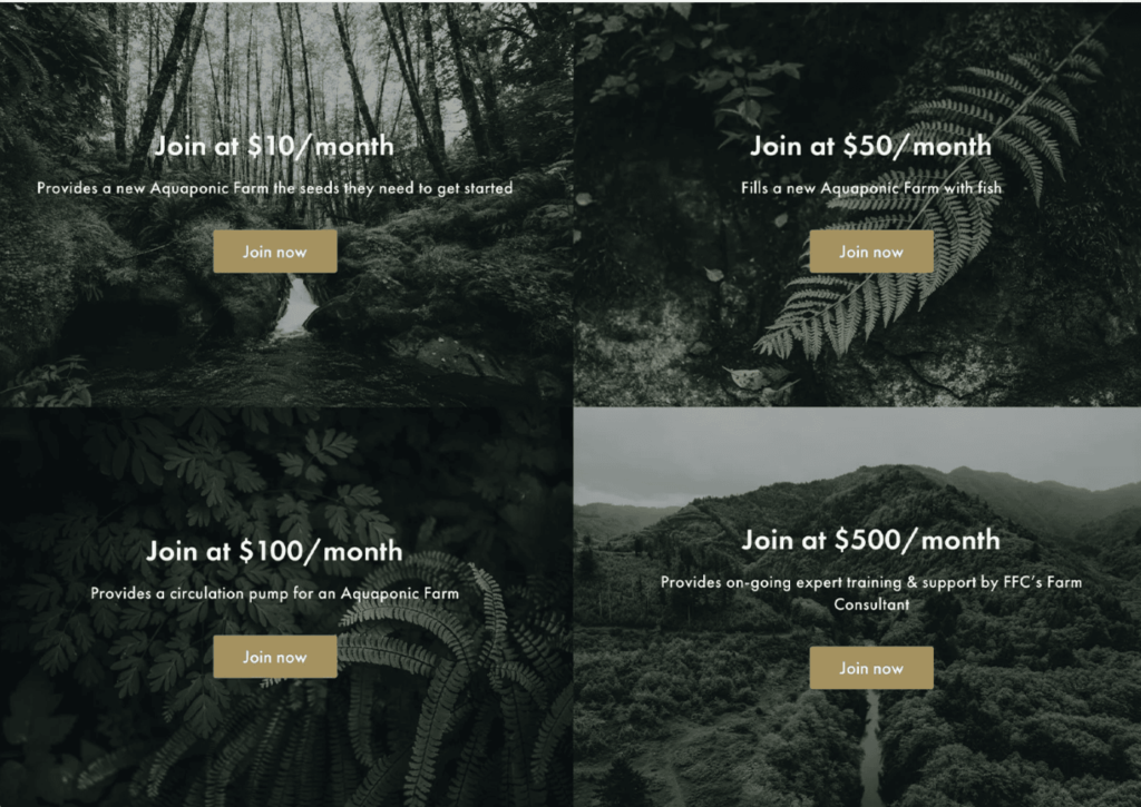 monthly-giving-program-fly-fishing